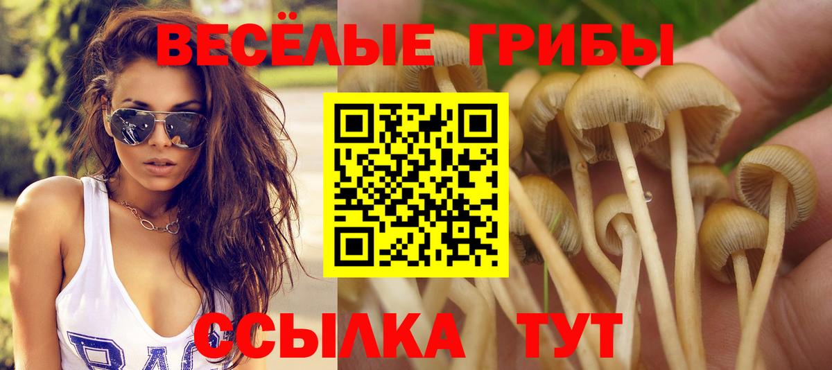 Юрга  Псилоцибиновые грибы мицелий  Вход с VPN 